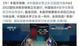 辽宁最新爆料新闻视频,揭秘重大事件背后真相